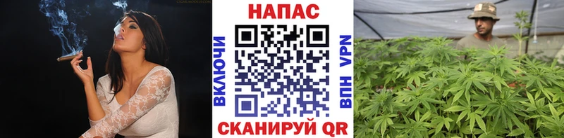 Каннабис семена  что такое   Коломна 